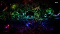 /album/fotogaleria/a6090-neon-skulls-1366x768-digital-art-wallpaper-jpg/